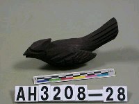 藏品(鳥)的圖片